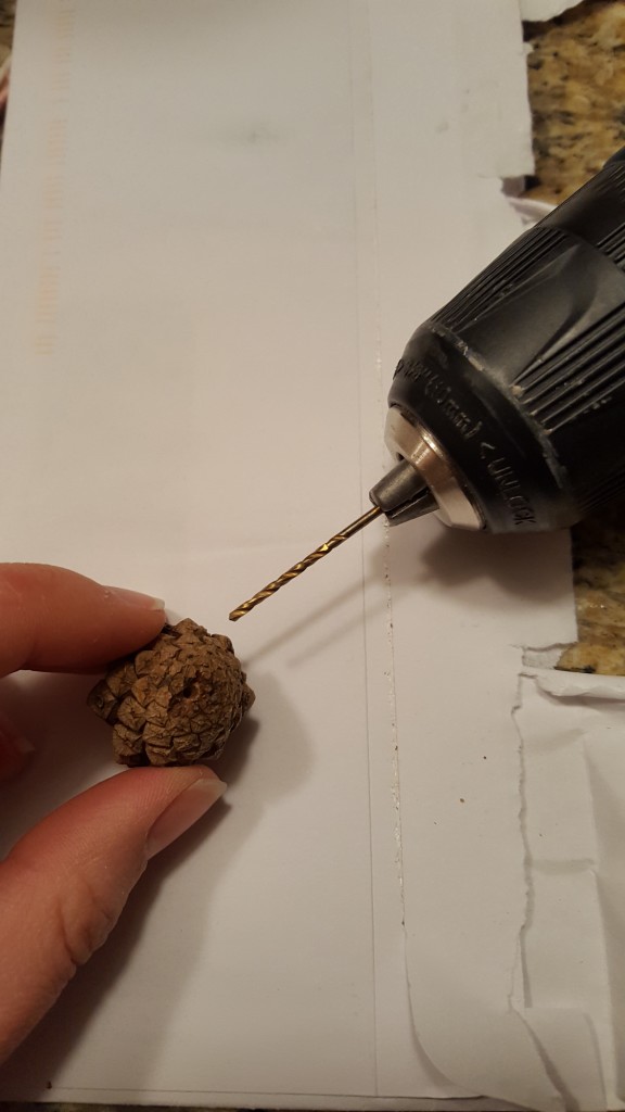 Drill hole into pinecone