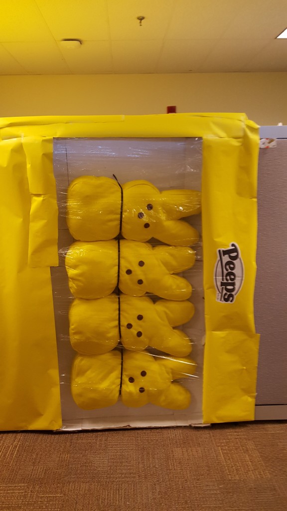 Peeps bunnies packaged in Roger's doorway