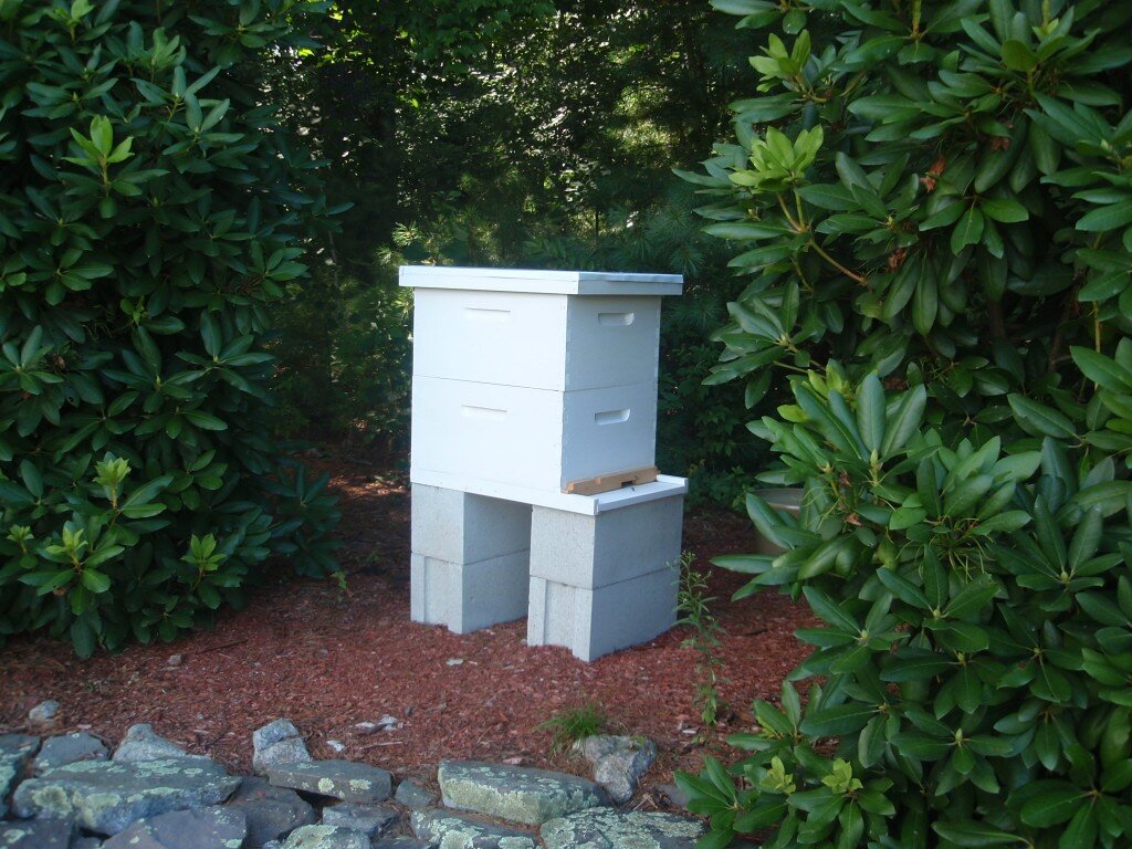 My Langstroth hive with two brood boxes