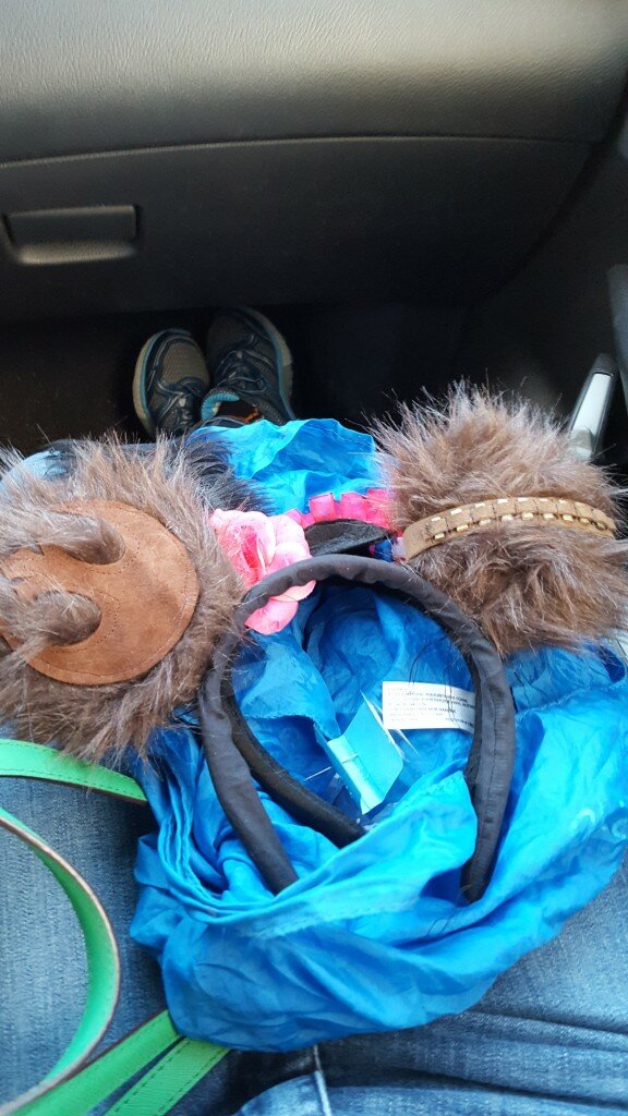 Finished Chewbacca ears ready for Disney!