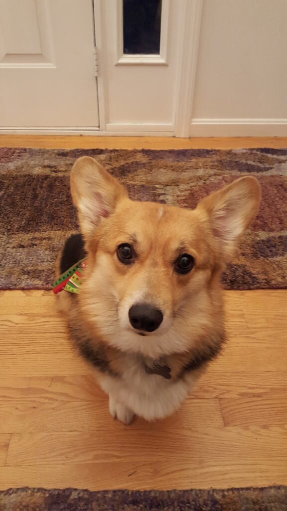 You sure you don't just want a picture of my face? 